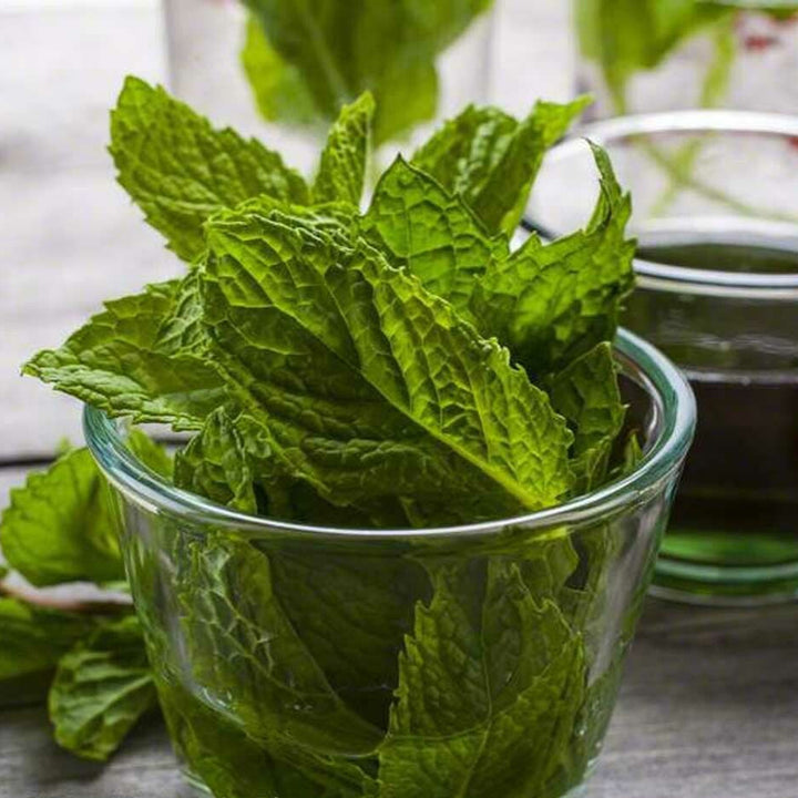 Sante Peppermint (Terpeneless) Essential Oil