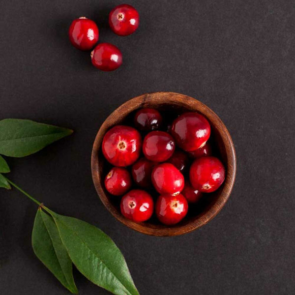 Cranberry Super Concentrated Flavor Powder (3X Fold)