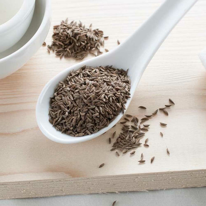 Caraway Essential Oil, Natural