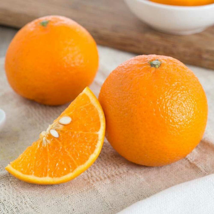 Orange (Midseason 10X Fold) Essential Oil, Natural