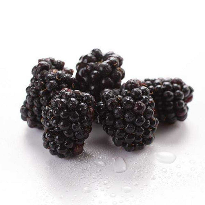 Boysenberry Flavor Emulsion for High Heat Applications, Organic