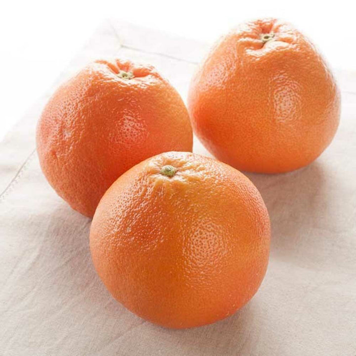 Grapefruit (California 5X Fold) Essential Oil, Natural