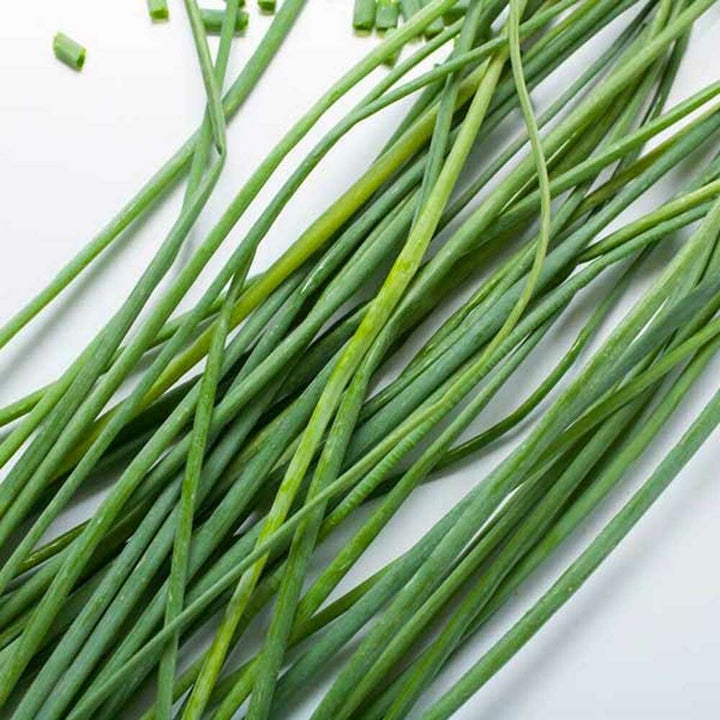 Chives Flavor Powder, Natural