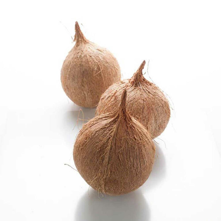 Coconut Flavor Extract, Organic (does not contain coconut)