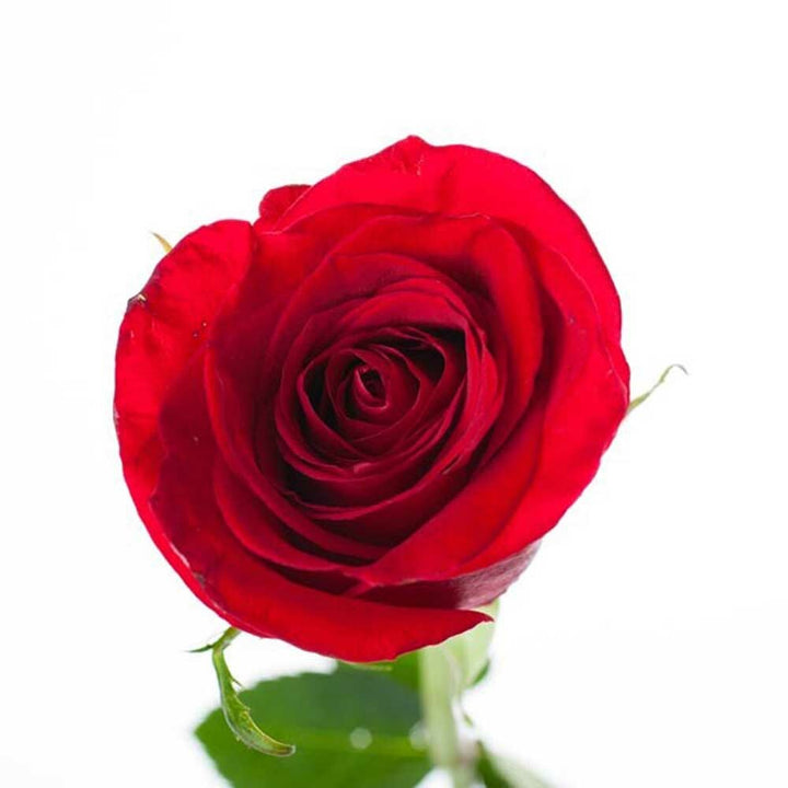 Passion Romance Massage Oil