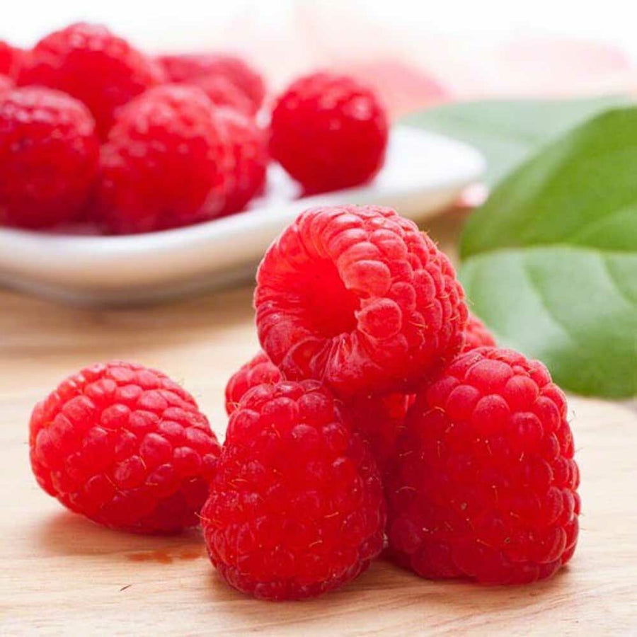 Raspberry Flavor Concentrate, Organic