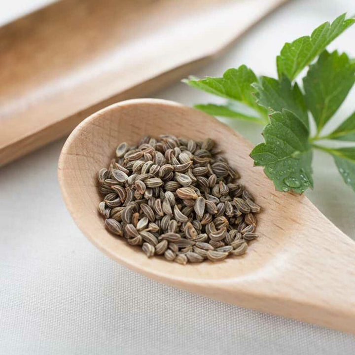 Parsley Seed Essential Oil, Natural