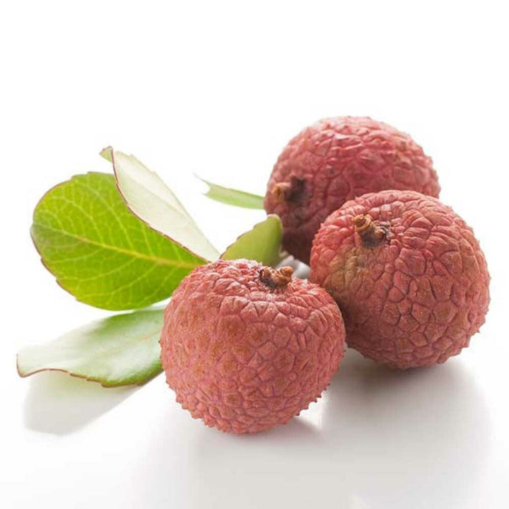 Lychee Love Fragrance Emulsion (Water Soluble)