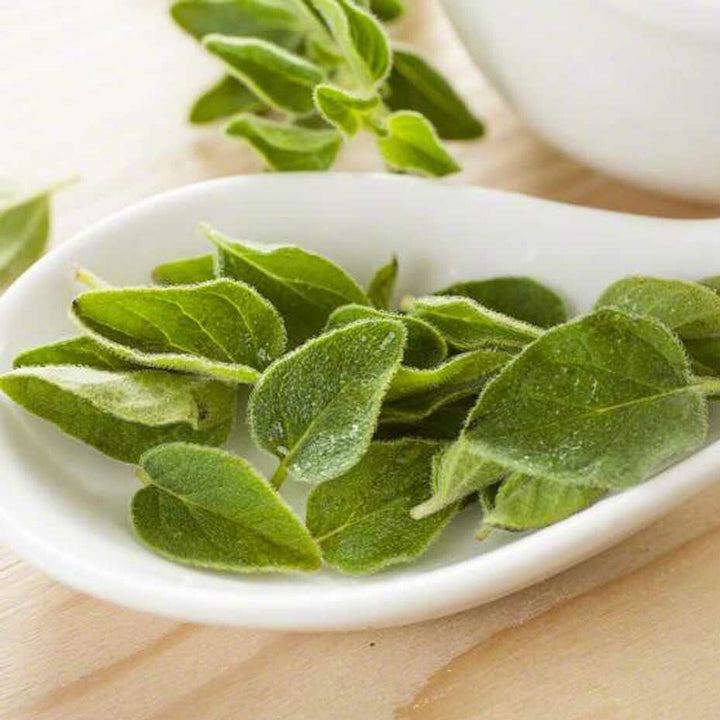 Sante Origanum Essential Oil