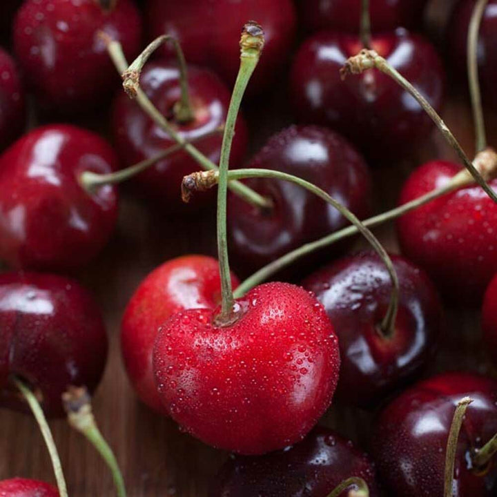 Organic Cherry Flavor Concentrate For Frozen Yogurt