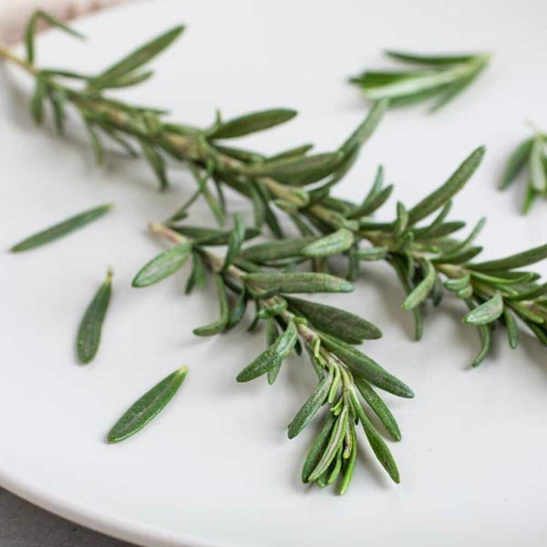 Rosemary Flavor Powder (Sugar-Free), Organic