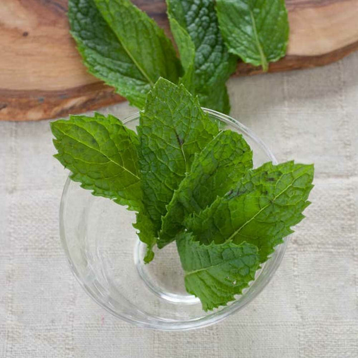 Spearmint Flavor Oil for Chewing Gum