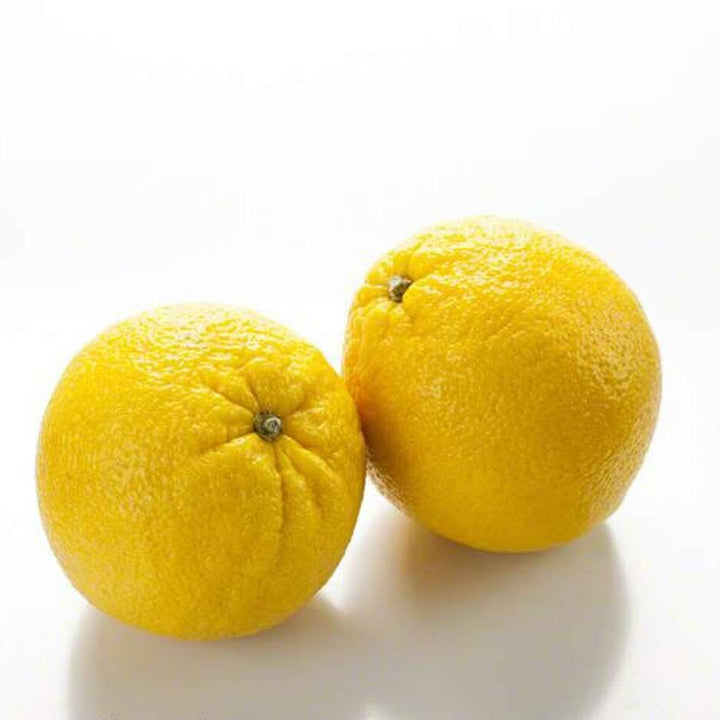 Sante Bergamot Essential Oil