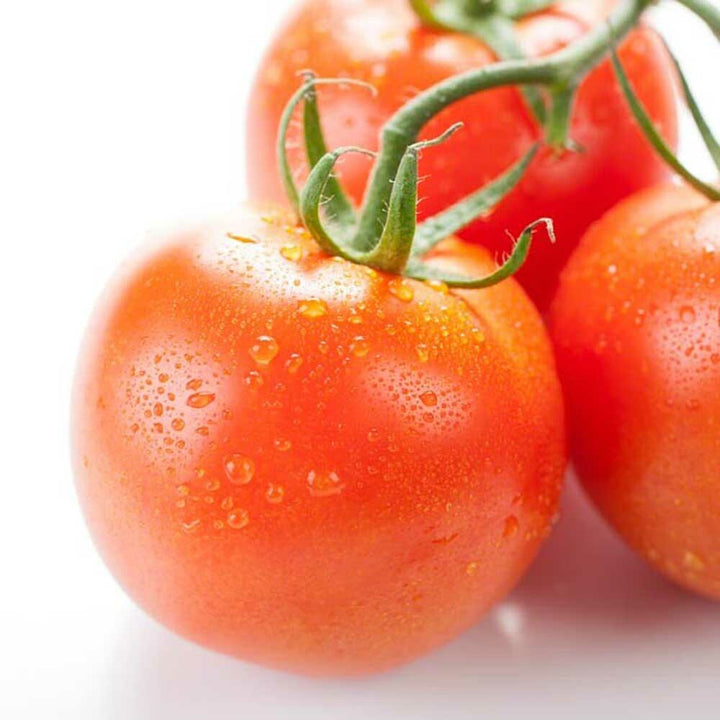Tomato Flavor Extract, Natural