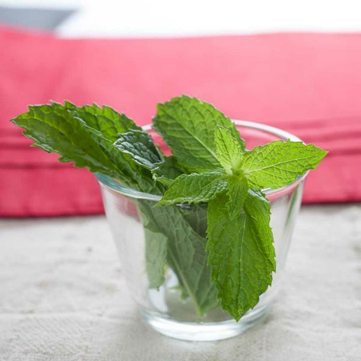 Organic Spearmint Coffee and Tea Flavor Without Diacetyl