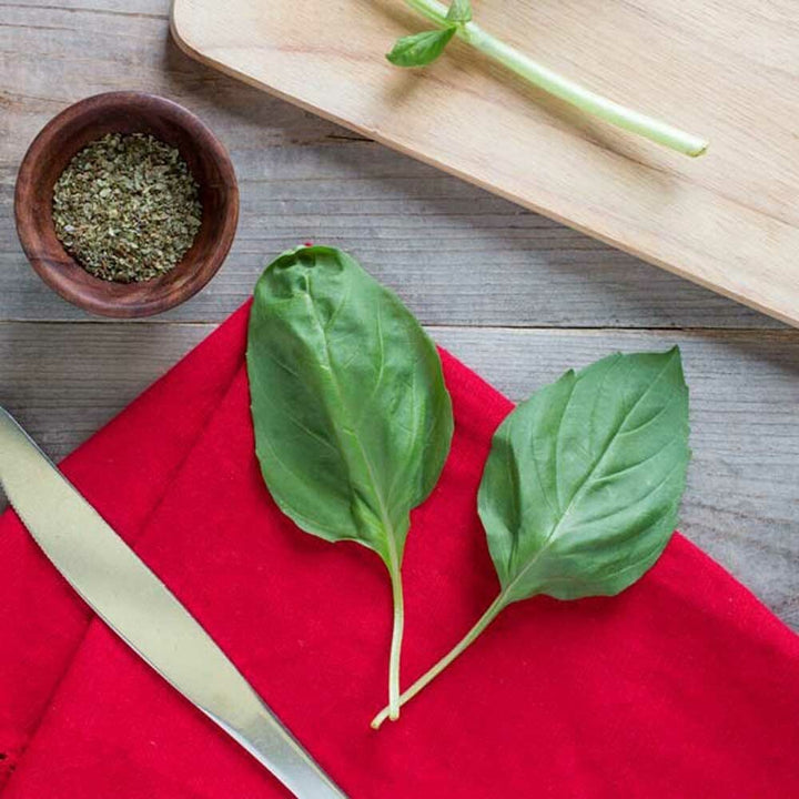 Basil Flavor Powder, Organic