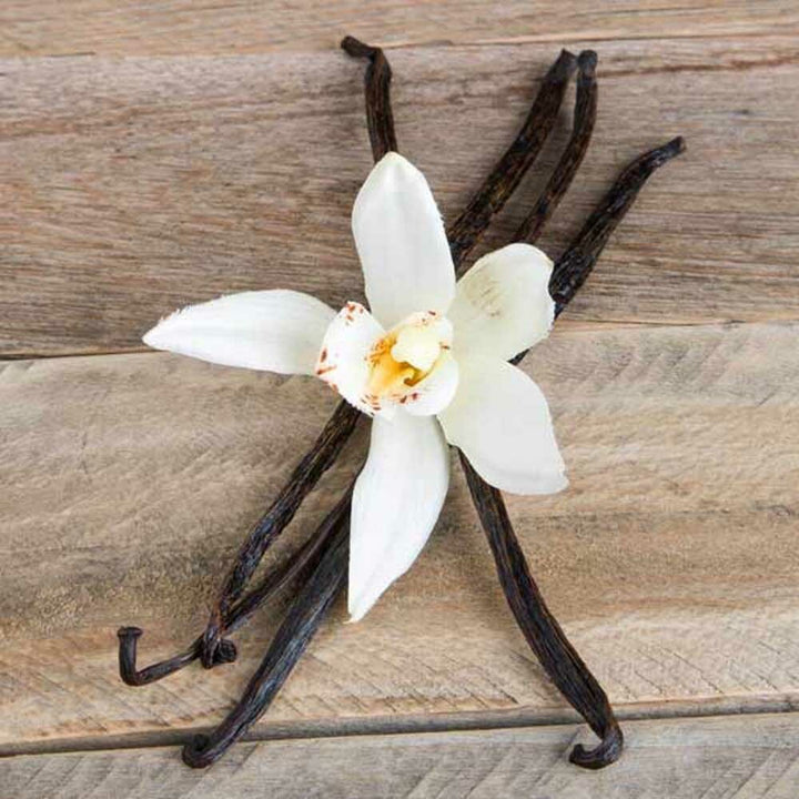 Organic Vanilla Clear Flavor Concentrate Without Diacetyl