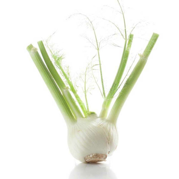 Anise Flavor Powder, Organic