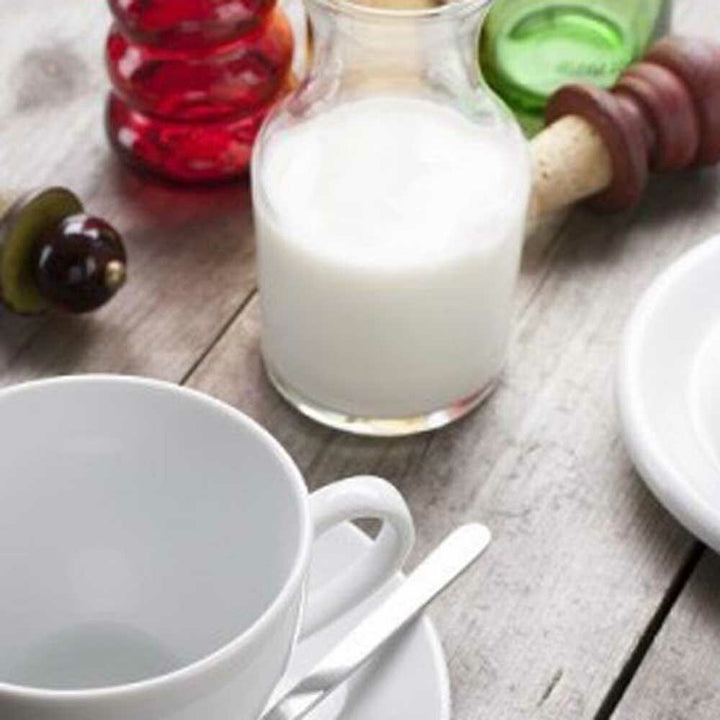 Milk Flavor Powder, Organic Low Fat