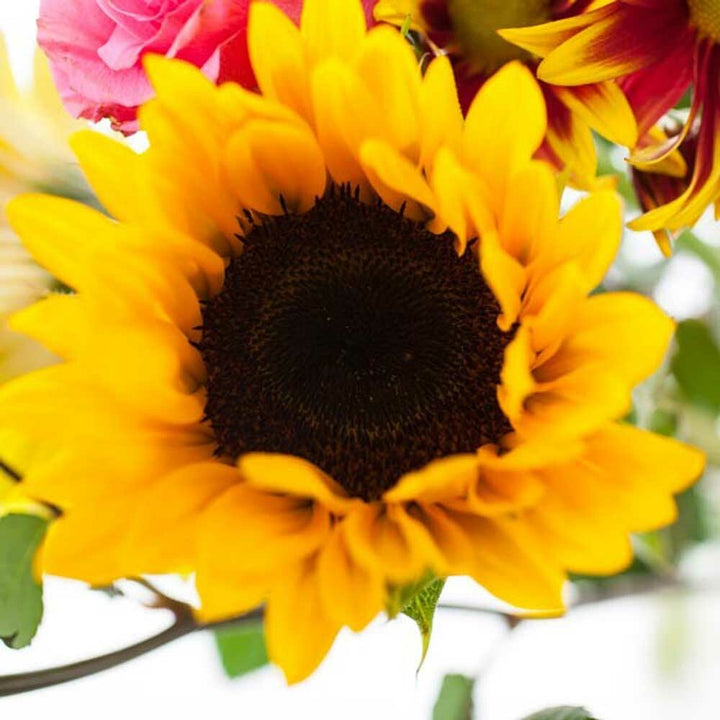 Recharge Massage Oil