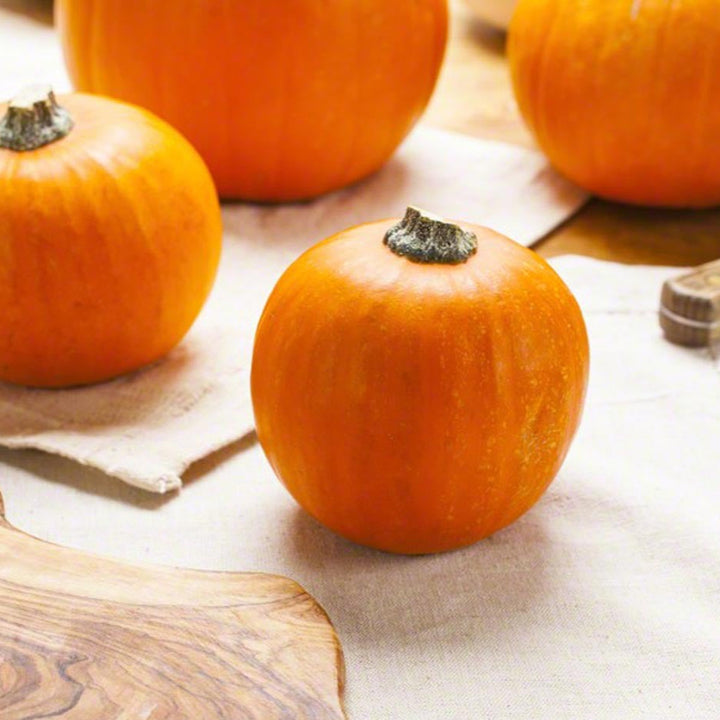 Pumpkin Flavor Concentrate Without Diacetyl