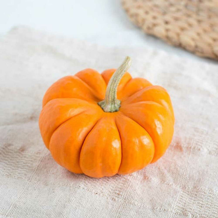 Pumpkin Flavor Oil for Lip Balm