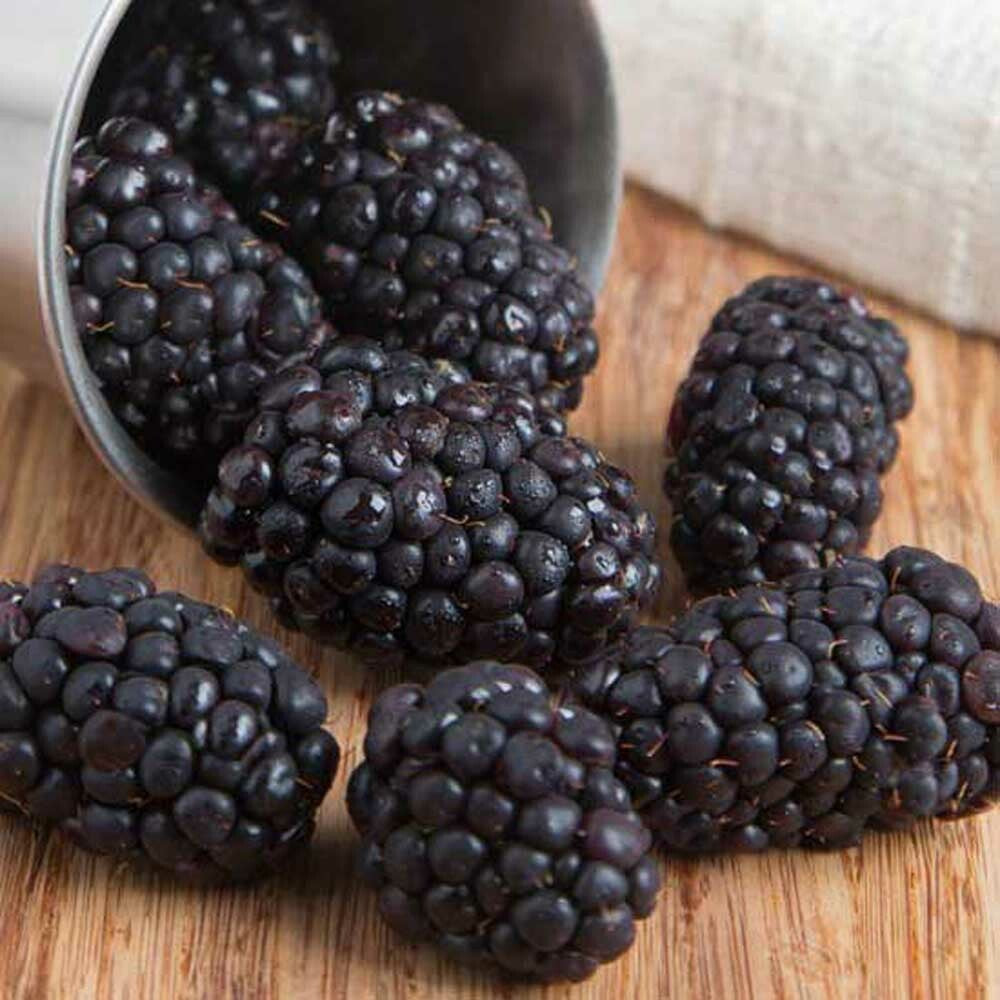 Black Raspberry Flavor Extract Without Diacetyl - Bulk – Nature's Flavors