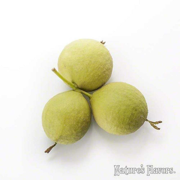 Black Walnut Flavor Concentrate, Organic