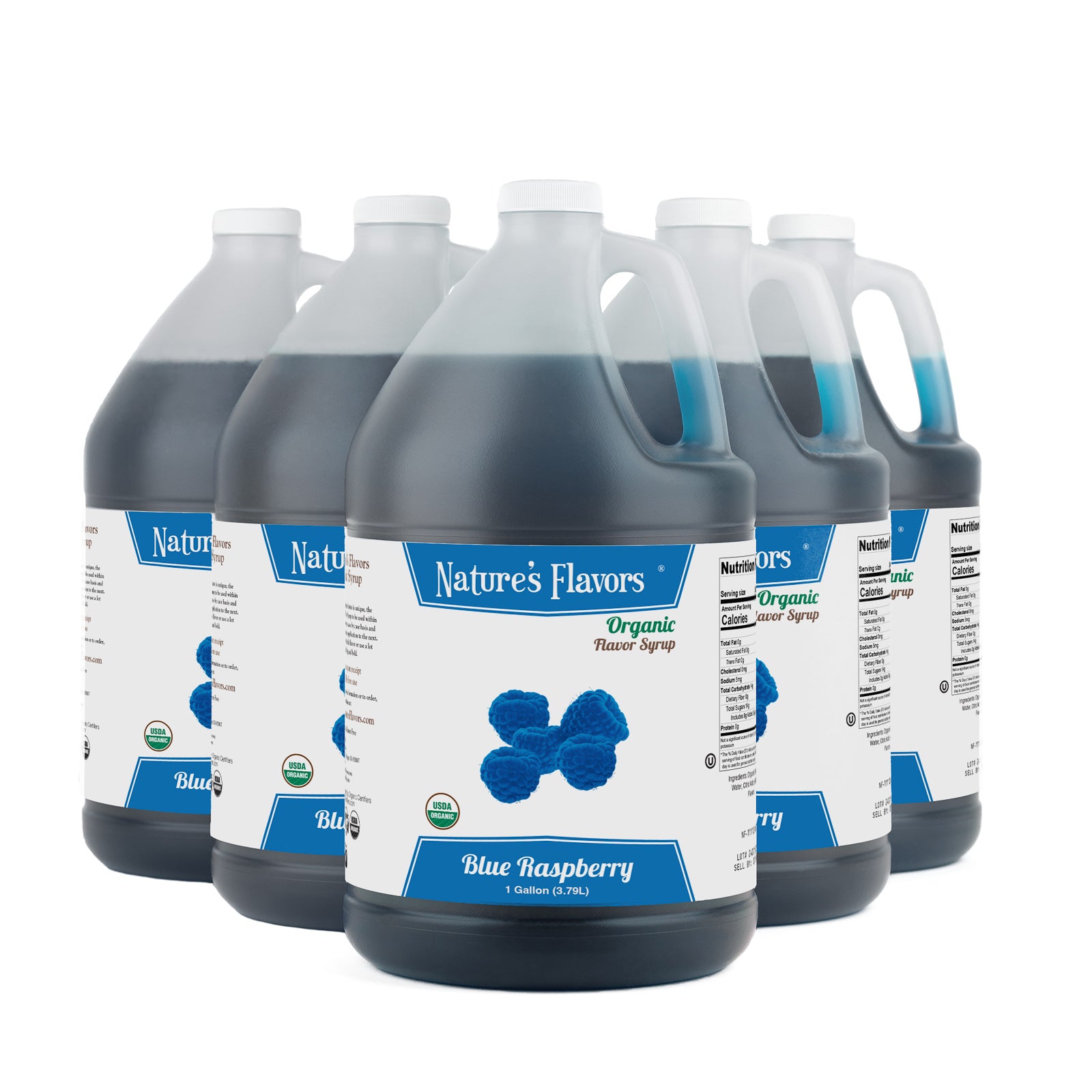 Blue Raspberry Syrup, Organic - Bulk – Nature's Flavors