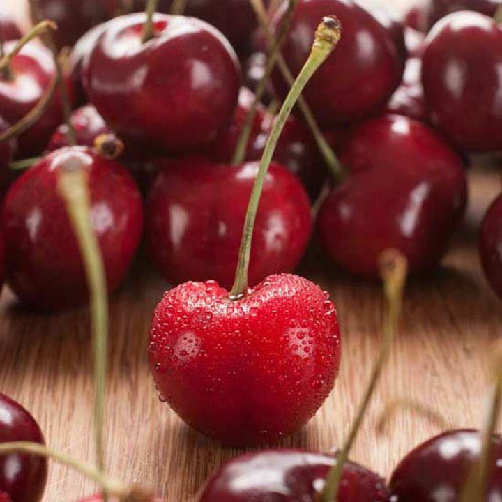 Organic Bordeaux Cherry Flavor Extract Without Diacetyl