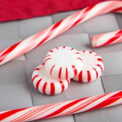 Candy Cane Flavor Oil for Lip Balm
