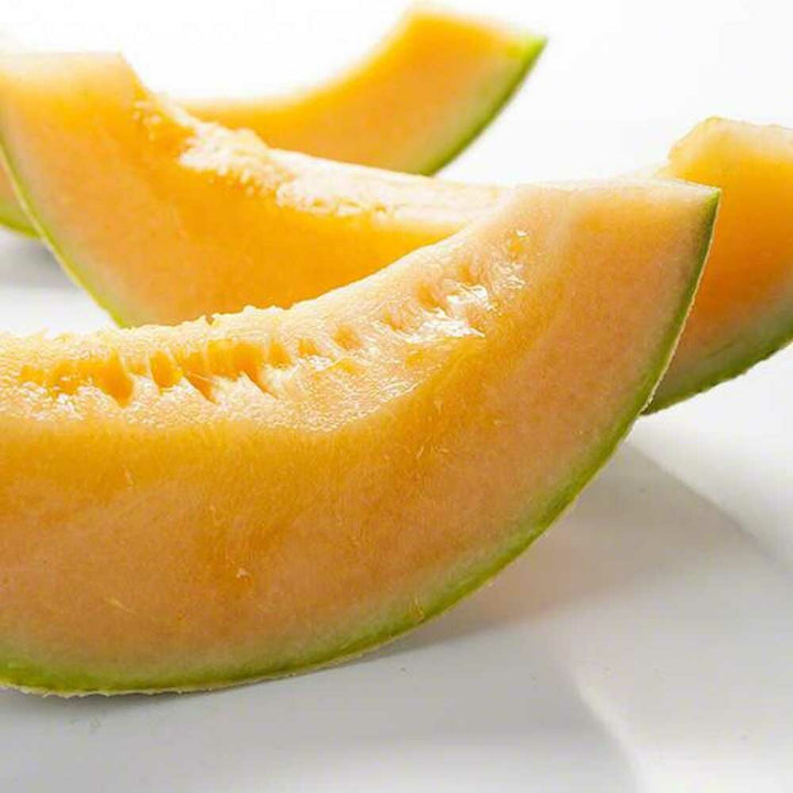 Cantaloupe Flavor Concentrate, Organic