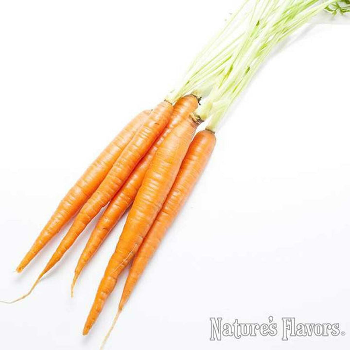 Carrot Flavor Concentrate, Organic