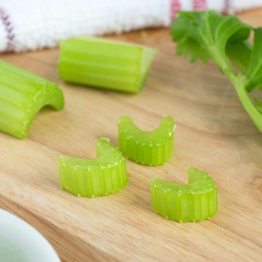 Celery Flavor Concentrate, Natural