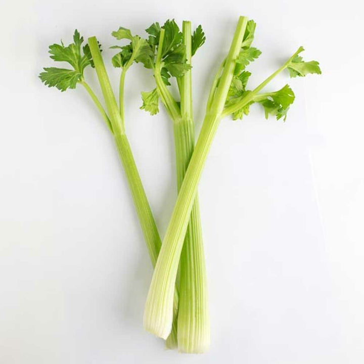 Organic Celery Flavor Extract Without Diacetyl