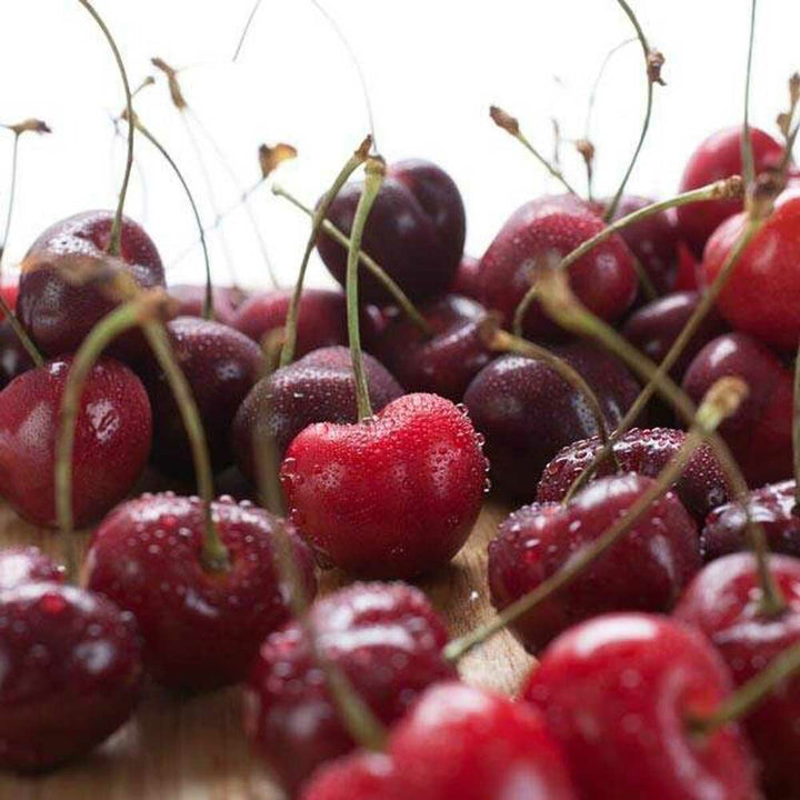 Cherry Flavor Concentrate For Frozen Yogurt without Diacetyl