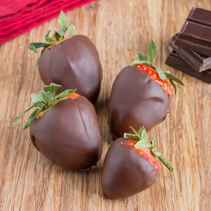 Chocolate Strawberry Flavor Concentrate, Natural