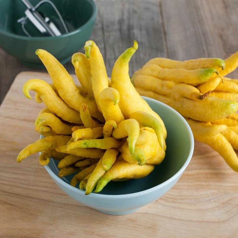 Citron Flavor Concentrate Without Diacetyl