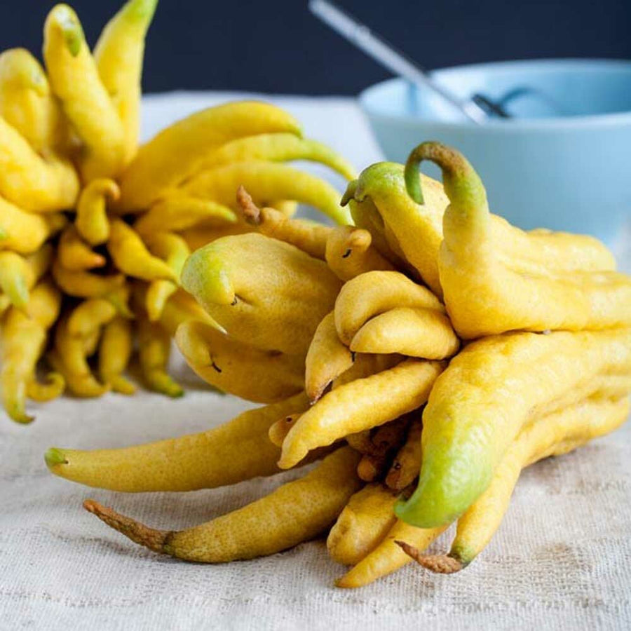 Organic Citron Flavor Extract Without Diacetyl