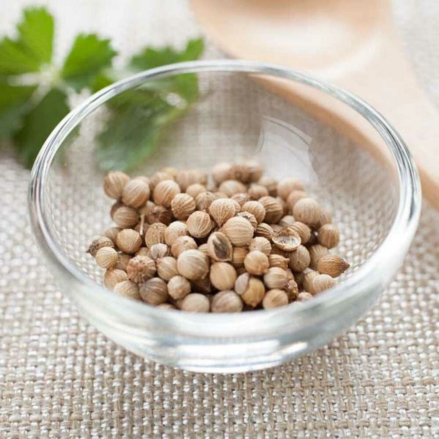 Coriander Flavor Concentrate, Natural