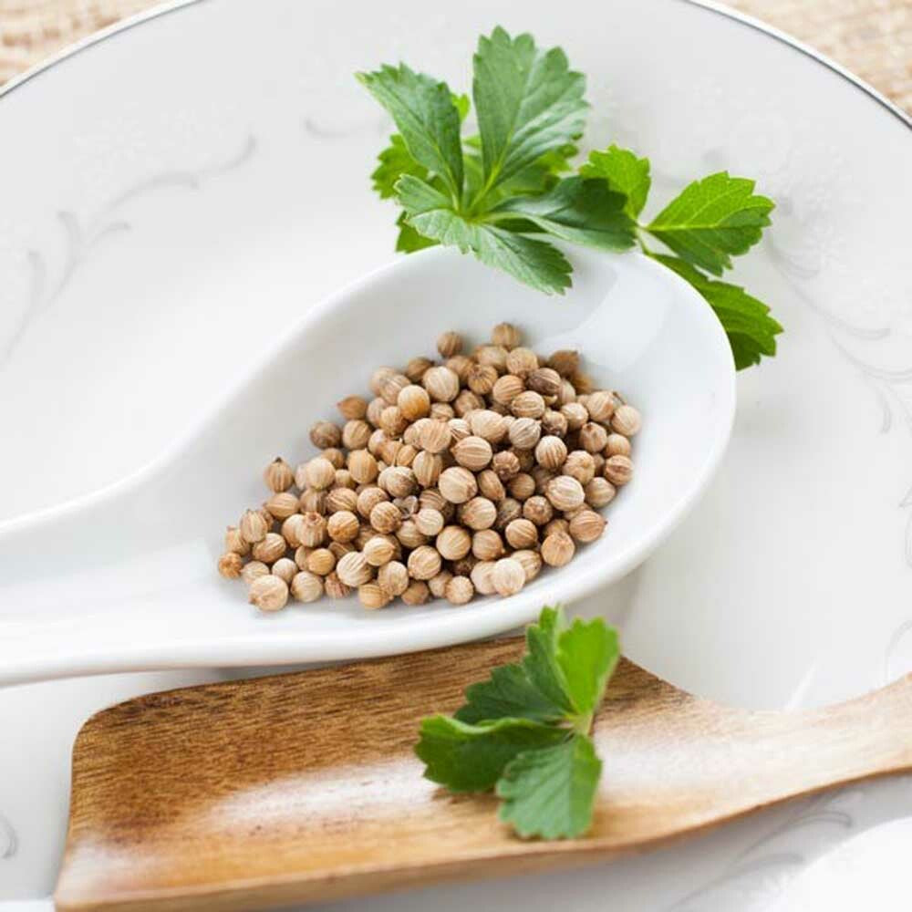 Coriander Flavor Extract, Organic