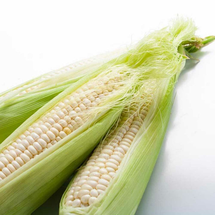Corn Flavor Extract, Organic