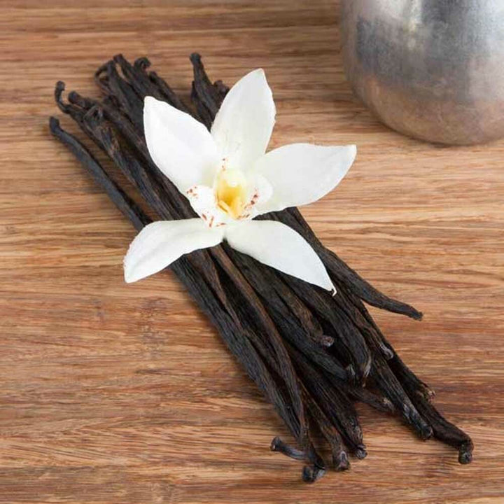 French Vanilla Flavor Concentrate, Natural