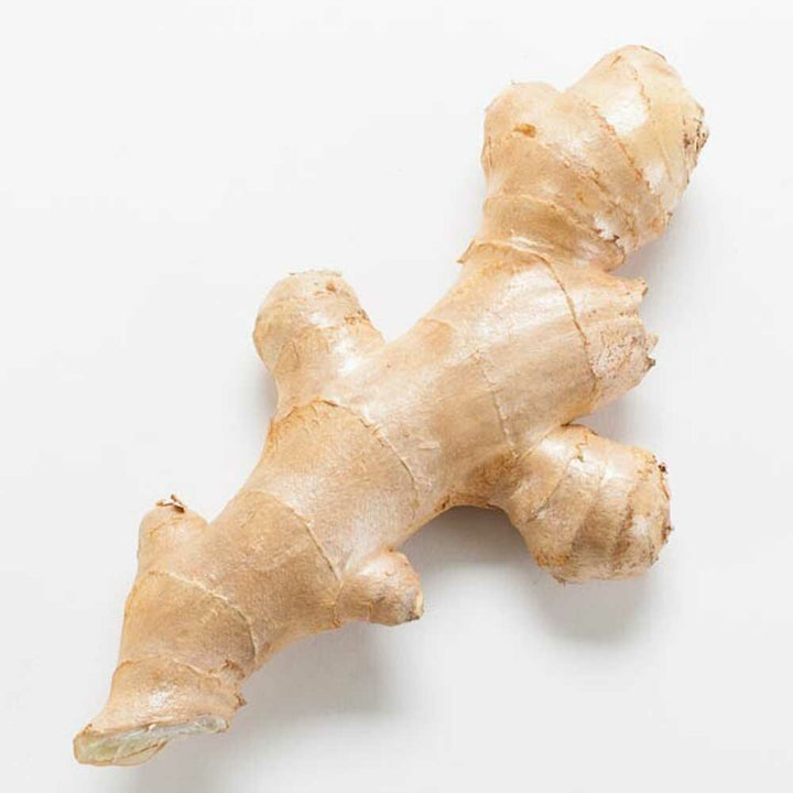 Ginger Flavor Concentrate, Organic