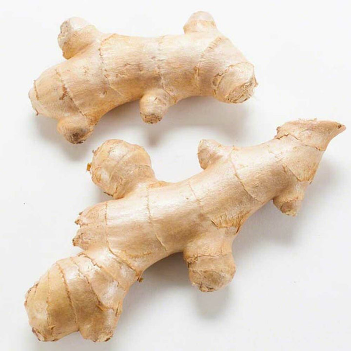 Ginger Flavor Oil, Organic