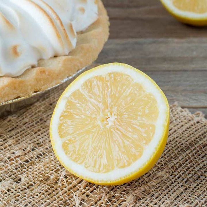 Lemon Meringue Coffee and Tea Flavoring