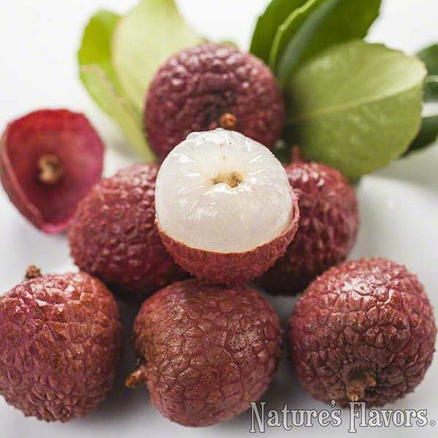 Lychee Flavor Concentrate, Organic