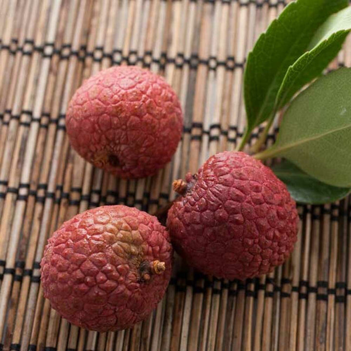 Lychee Flavor Oil, Natural