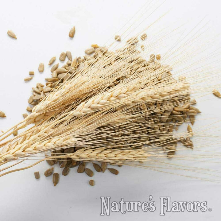 Malt Flavor Concentrate, Organic