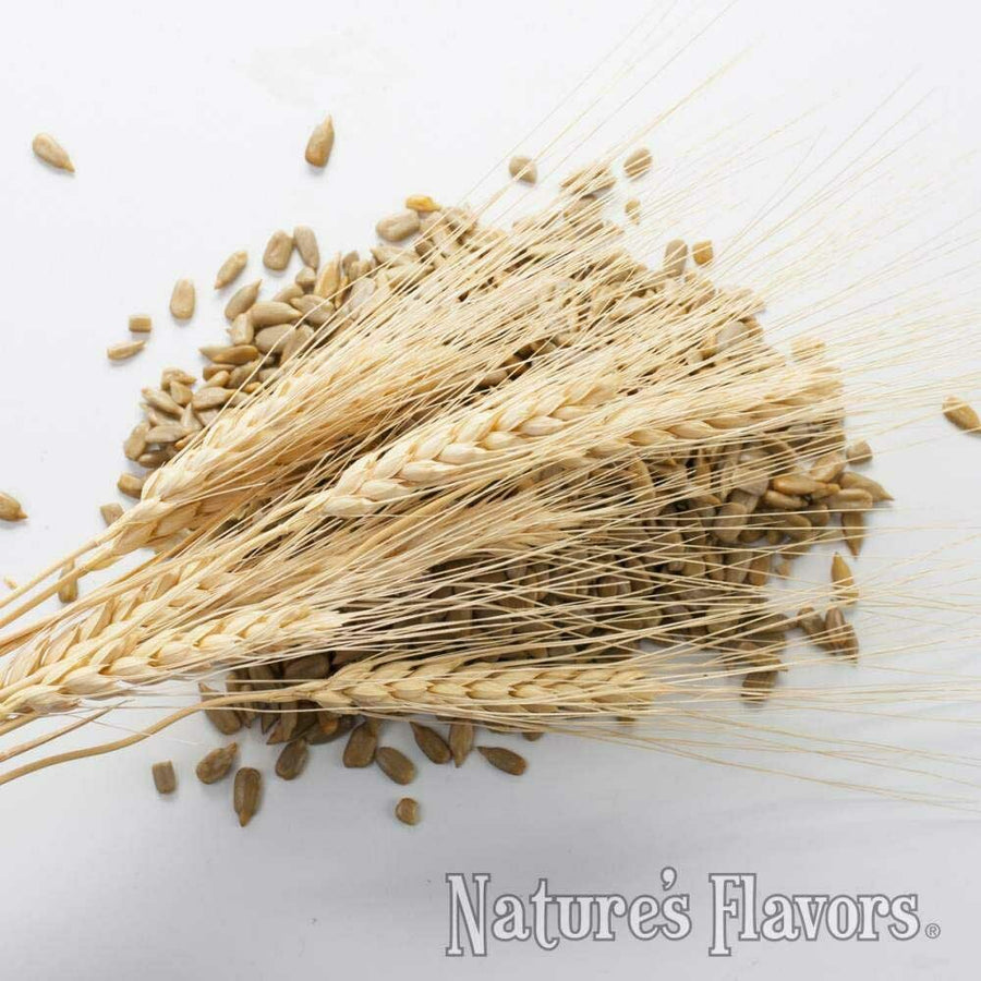 Malt Flavor Concentrate, Organic